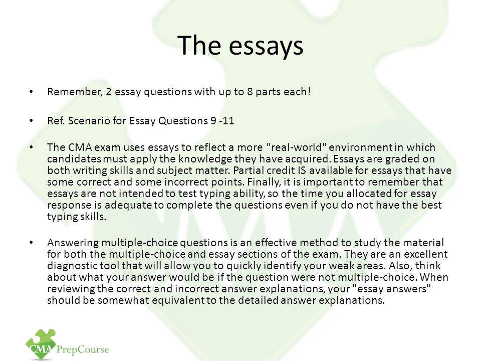 The time allocated essay